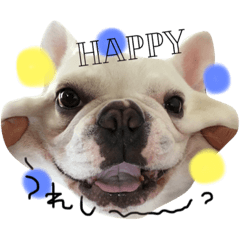 [LINEスタンプ] うりやんスタンプ