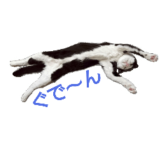 [LINEスタンプ] tetsu ＆ komugi lovely cats 2