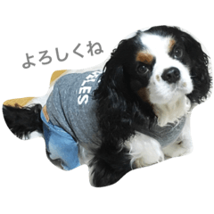 [LINEスタンプ] ハッピーとラブ