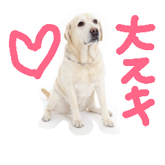[LINEスタンプ] daijun
