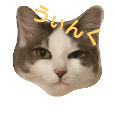 [LINEスタンプ] ふたごのムゥラン