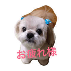 [LINEスタンプ] 塁ちゃん