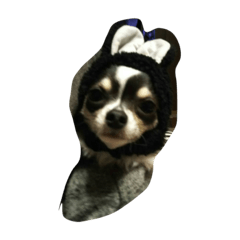[LINEスタンプ] ジャックとみーたん