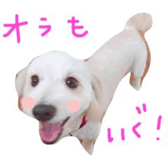 [LINEスタンプ] まるびより