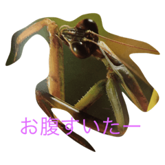 [LINEスタンプ] hang in there