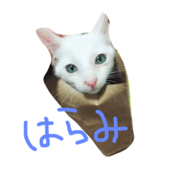 [LINEスタンプ] Haramichan