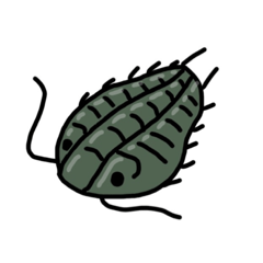 [LINEスタンプ] カンブリア紀の仲間達