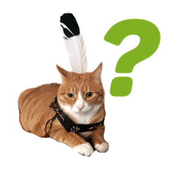 [LINEスタンプ] しまねこサンクレチン 2