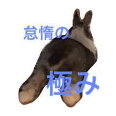 [LINEスタンプ] Landといっしょ。