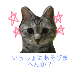 [LINEスタンプ] うちのぽんたくん