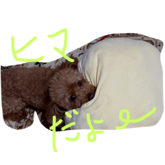 [LINEスタンプ] animal！！！！！！！！！！！.！.！！！！！！！！！！！！！