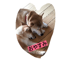 [LINEスタンプ] siriusufamily