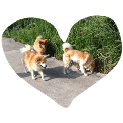 [LINEスタンプ] ぽんたきなこはな