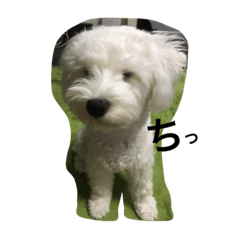 [LINEスタンプ] モナさん