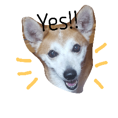 [LINEスタンプ] SHUUUUUUUUUU3