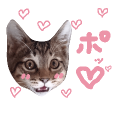 [LINEスタンプ] very good cat