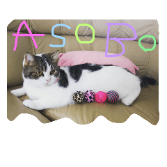 [LINEスタンプ] pupuiseveryday