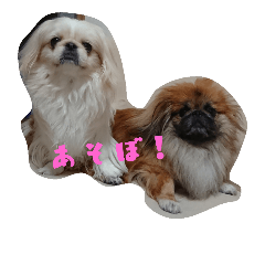 [LINEスタンプ] どらわたファミリー
