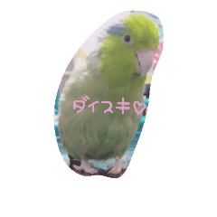 [LINEスタンプ] 石田家のとりちゃんず♡