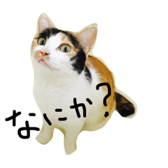 [LINEスタンプ] まーこの徒然なる姫ライフ5
