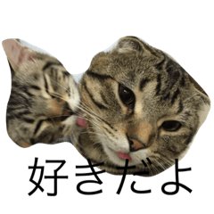 [LINEスタンプ] すずそらりく