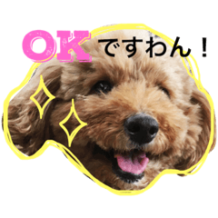 [LINEスタンプ] 我が家のまりさん