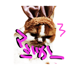 [LINEスタンプ] ちゃちゃぶう
