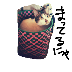 [LINEスタンプ] よもやん