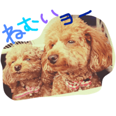 [LINEスタンプ] cocoa and milk