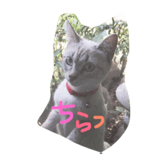 [LINEスタンプ] MAMEPUKU23