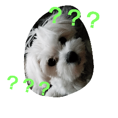 [LINEスタンプ] ちぃーこちゃん