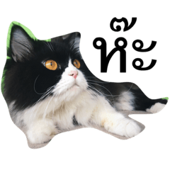 [LINEスタンプ] Louis The Cat
