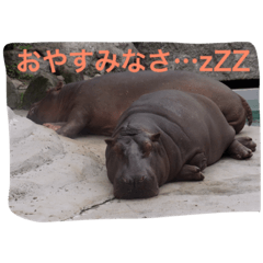 [LINEスタンプ] 日常の一コマより