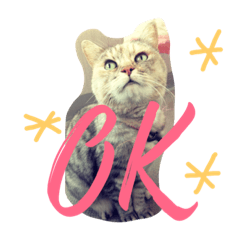 [LINEスタンプ] hana's life is cute