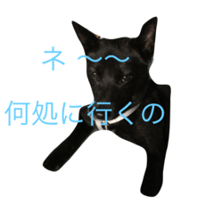 [LINEスタンプ] kurosukeKai