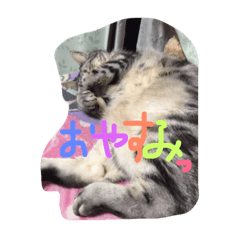 [LINEスタンプ] あらちくんといっしょ