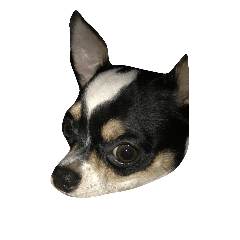[LINEスタンプ] VanTang