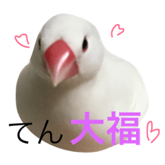 [LINEスタンプ] 白文鳥のてんちゃん
