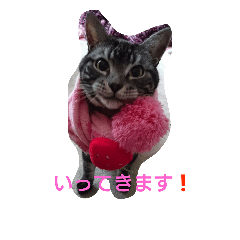 [LINEスタンプ] 日常にゃい話