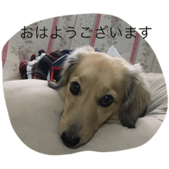 [LINEスタンプ] 姫ちゃん3