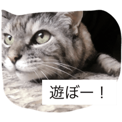 [LINEスタンプ] キャワイイmaachan