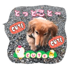 [LINEスタンプ] とっとこルイたろ！