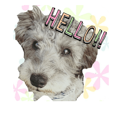 [LINEスタンプ] あいあむクロロ