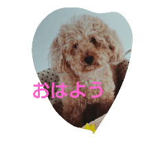 [LINEスタンプ] 我が家のモカさん②