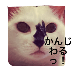 [LINEスタンプ] iloveチロイロイ