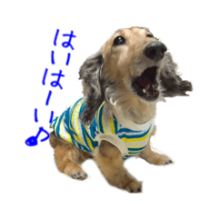 [LINEスタンプ] まこまぽすたんぷ
