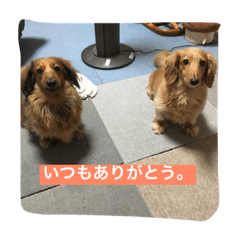 [LINEスタンプ] ニョロズスタンプその2！