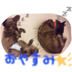 [LINEスタンプ] チー♥︎てぷ