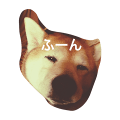 [LINEスタンプ] ゲンさん.1