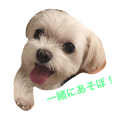 [LINEスタンプ] ルルのつぶやき